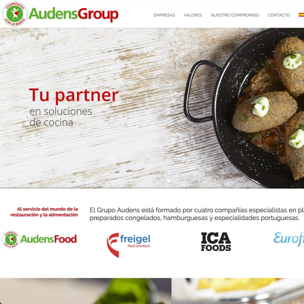 Web Audens Group – Audens Group