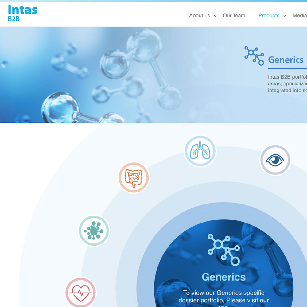 Página Web – Intas B2B